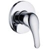 Demosi Wall Mixer