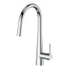 Galiano Pull Down Sink Mixer Chrome