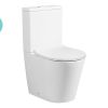 Fabrino Rimless Toilet Suite New Product 900 X 600